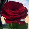 user8632185623986