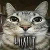 Liix117