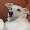opacfullhd4