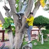 lynguyen12398