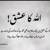 nazishabbas33