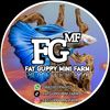 fat_guppy