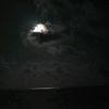 gindes_132