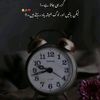 qaisarabbasqaisar253