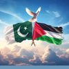 m.hussain4493