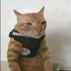 brutalkittyswag_