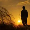 trai_28t
