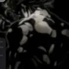 user7059561871545