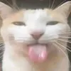 hnchilong