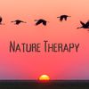 Nature Therapy
