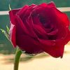 nil.akash0424