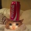 oranjesmurf1