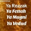 user8794632193742