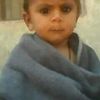 shahzadshahzad2911