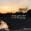 user9519258738695