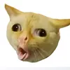 lon7m0