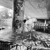 sem043333