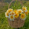 adel.nur84