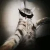 _arishka_67
