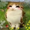 kittyycatt39