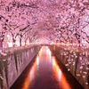 flowerssara