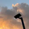 hhhhhhm236
