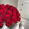 rawya.ahmed46
