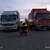max_born97
