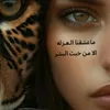 user17637256636745