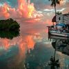 everglade55