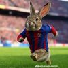 donis2544