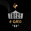 treze.galo