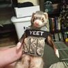 dottores_rat