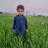 rafi.ullah7116