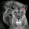 ❤️🥰Mrs عاصم خان🤴😍