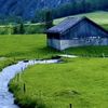 user6340609871730