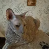 burenushka
