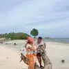 louborja2