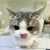 meowgirl23
