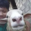 familyfarm69