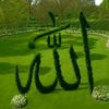 motea.mohamed2