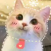 nhao.lnnkk