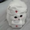 meomeoskibiditolet