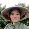 hoa.lm.nng.dn