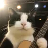 jaz.rainbs