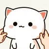 tuytnguyn9259