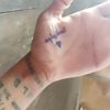 user81296963050860