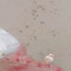 nour.nadjma7