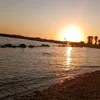 tanvi.akter4