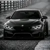 xxleon2712xx8